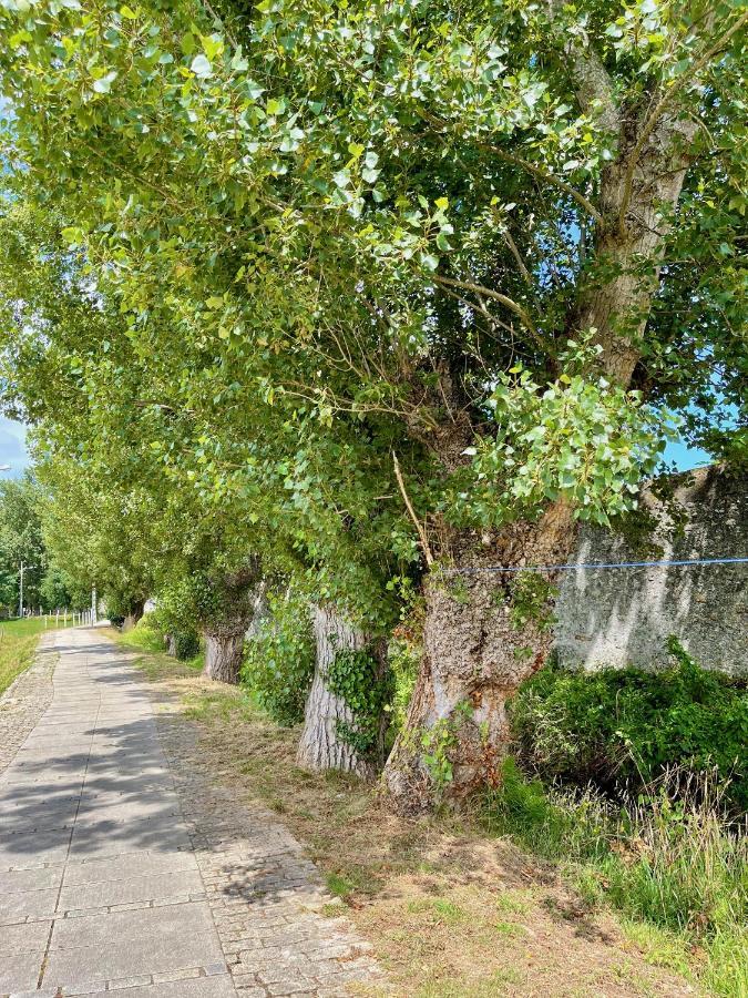 The Cliffs - Casa Valdeflores Вівейро Екстер'єр фото